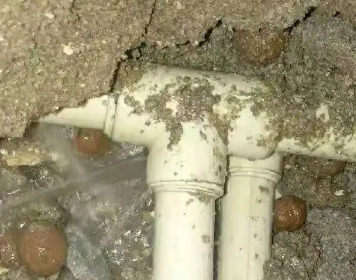 崇川测漏水多少钱