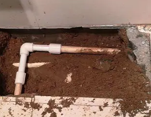 崇川测漏水哪家好